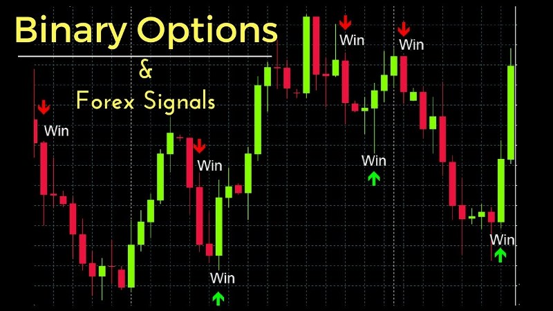 Skype Binary Signals Review